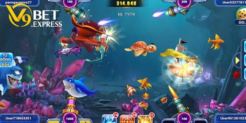 Bí quyết săn ngư đỉnh cao húp thưởng khủng