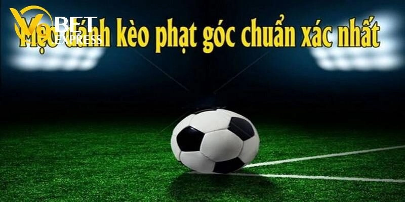 Công thức cá cược tối ưu hiệu quả