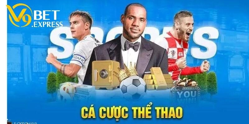 Đôi nét về sảnh A -sports